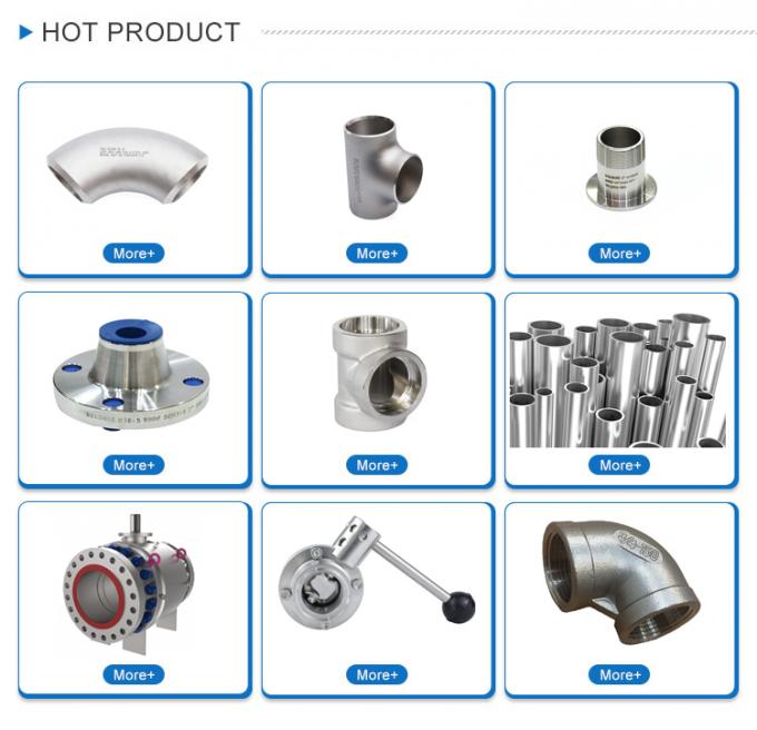 316lL SAE Flange contre soudure ISO 6161 ISO 6162 Flange hydraulique carré en acier inoxydable 5