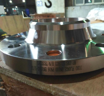 Duplex Stainless Steel A182 F51 F60 UNS S32205 Raised Face Forged Steel Welding Neck Flange