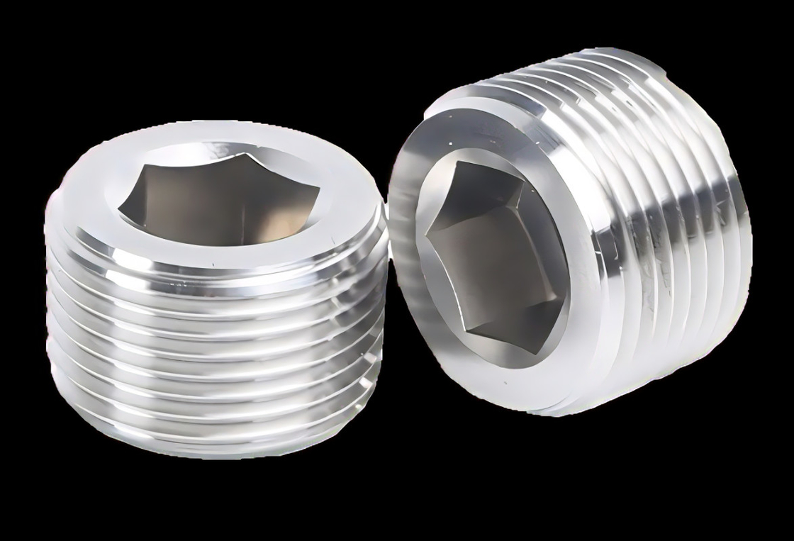 Stainless Steel Plug 1/8