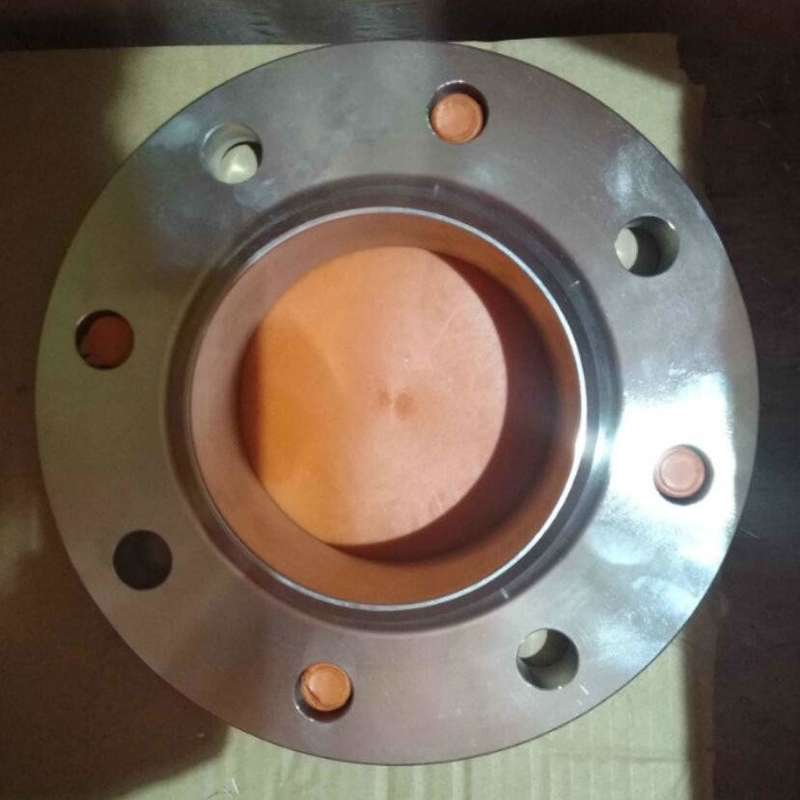 Duplex Stainless Steel A182 F51 F60 UNS S32205 Raised Face Forged Steel Welding Neck Flange