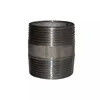 Factory Wholesale Both Equal Threaded Hot Dipped Galvanized Fittings Swage Nipple