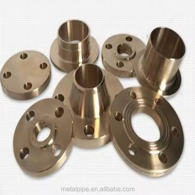 Forged Steel Flanges for Various Materials Nickel Alloy Super Stainless Steel Stainless Steel Duplex Steel Alloy Steel Carbon Steel